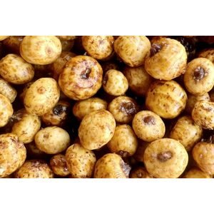 Mivardi Tygří ořech - 1kg