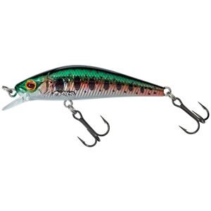 Gunki Wobler Gamera 5,4cm SHW - HL Rainbow Trout