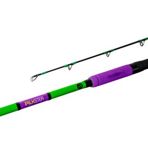 Delphin Prut Pilkster 240cm 50-200g