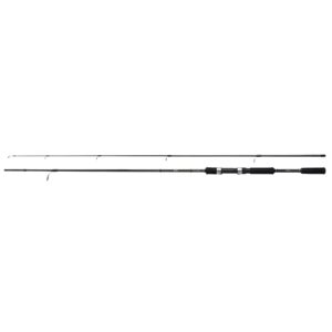 Shimano Prut FX XT Spinning Moderate Fast 2,40m 14-40g