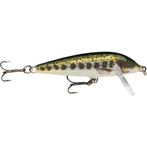 Rapala Wobler Count Down Sinking MD - 5cm  5g