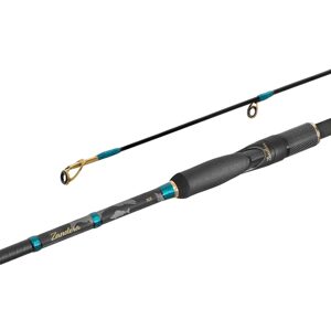 Delphin Prut Zandera NX 270cm 3-21g