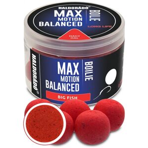Haldorádó Boilies Balanced Max Motion 20mm 70g - Velká ryba