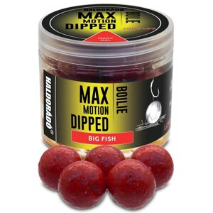Haldorádó Boilies v dipu Dipped Max Motion 20mm 80g - Velká ryba